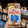 Thức ăn cho chó Royal Canin Poodle Puppy